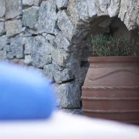 Dionysos Luxury Mykonos 오르노스