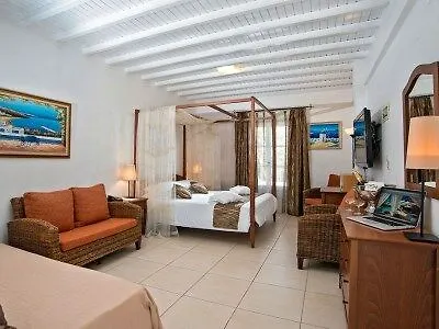 Dionysos Luxury Mykonos 4* 오르노스