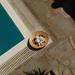 酒店 Dionysos Luxury Mykonos 4*