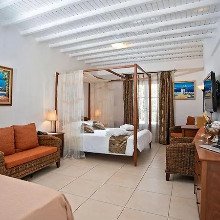 Dionysos Luxury Mykonos 4* أورنوس
