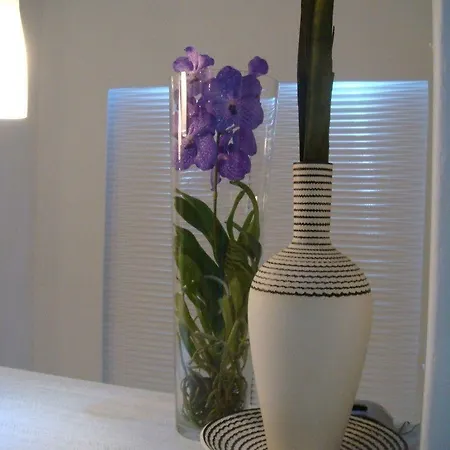 Dionysos Luxury Mykonos 4* أورنوس
