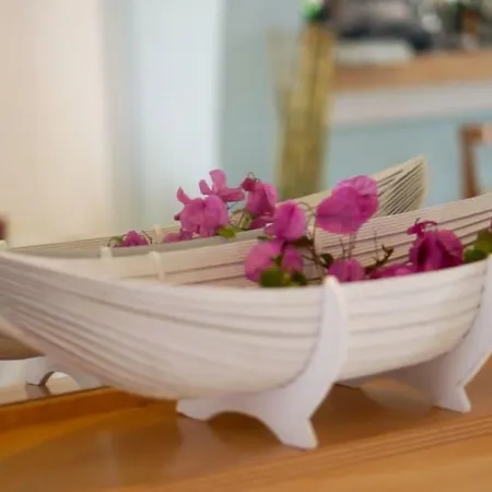 Dionysos Luxury Mykonos 4* أورنوس