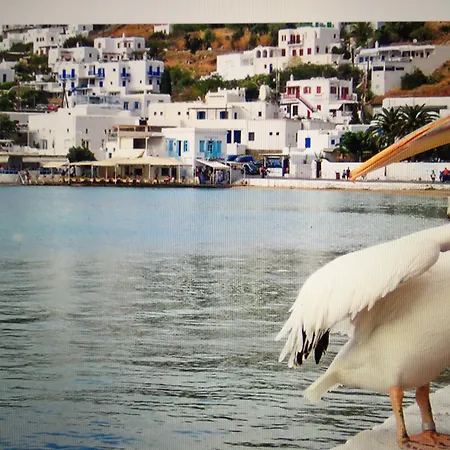 Dionysos Luxury Mykonos Hotel 4*